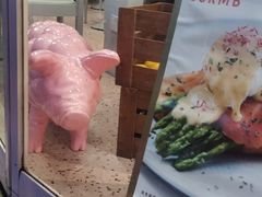 -WHEN PIGS FLY当猪飞