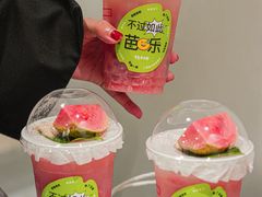 -伏小桃(明瓦廊店)