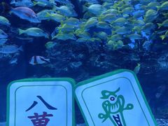 -海合安成都极地海洋公园