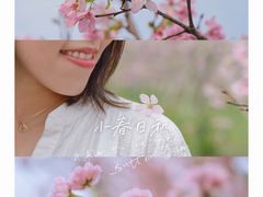 -天适樱花悠乐园