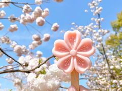 -顾村公园