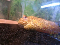 android_upload_pic-上海大自然野生昆虫馆