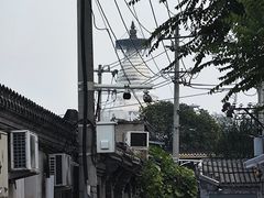 -北京鲁迅博物馆(北京新文化运动纪念馆鲁博馆区)