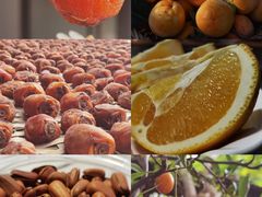 -Peet's Coffee皮爷咖啡(豫园店)