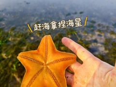 -大长山岛