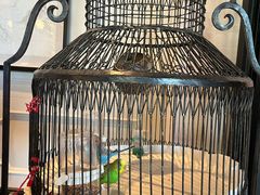 -上海总会SHANGHAICLUB(兴业太古汇店)