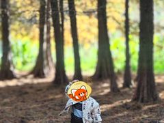 -溱湖国家湿地公园