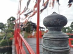 -芽庄珍珠岛游乐园