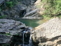 -广州白江湖森林公园