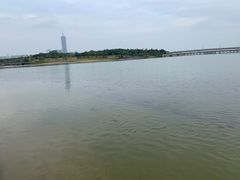 -深圳湾公园(南山区)