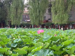 -四川大学(望江校区)