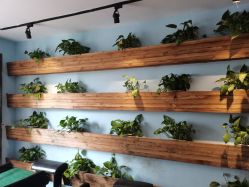 点击看大图 -艾嘉形象