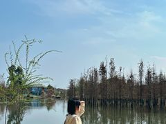 -白鹭湾湿地公园