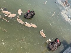 -天津东丽湖风景区