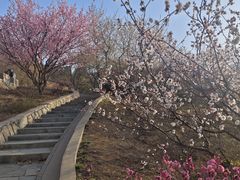 -北京西山国家森林公园