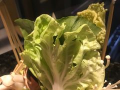 -王家渡火锅店(棕榈泉店)