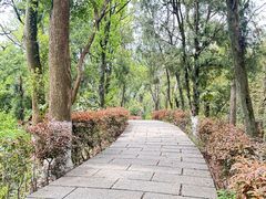 -三国赤壁古战场