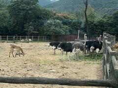 -西安秦岭野生动物园