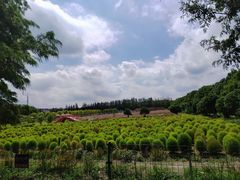 -嘉北郊野公园