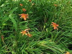 -苏州河梦清园环保主题公园