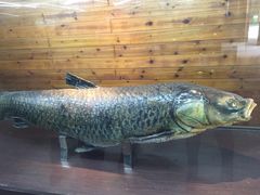 -南京金牛湖风景区