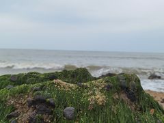 -白沙门生态公园