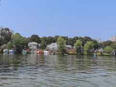 -南汇桃花村