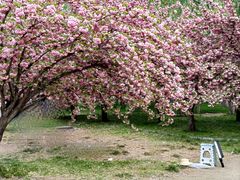 -莲花池公园