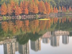 -重庆彩云湖湿地公园