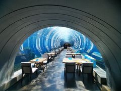 -海棠湾洲际-涛·海底餐厅·美人鱼·自助餐·海底隧道