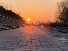 -上海滨江森林公园