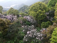-梧桐山风景名胜区