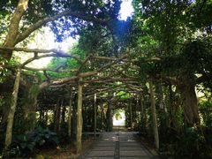 -广西壮族自治区药用植物园