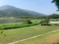 -风云岭森林公园