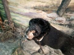 -北京动物园-畅观楼