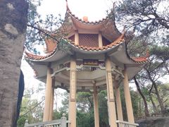 -榴花公园