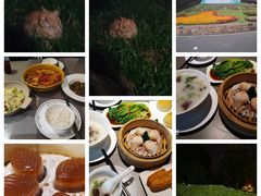 -广州市白云山风景名胜区