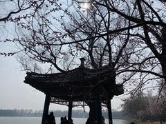 -颐和园
