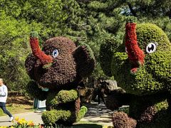 -沈阳植物园