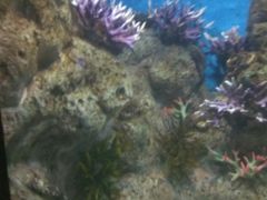 -福州罗源湾海洋世界旅游区