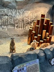 -Zoolung Zoolung动物主题公园(海信广场店)