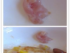 -黄埔华苑酒家(黄埔店)