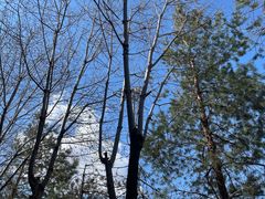 -乌鲁木齐天山国际机场-T3航站楼