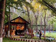 -长白岛森林公园