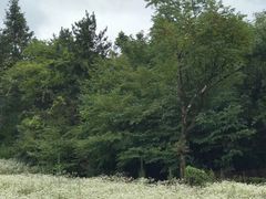 -齐岳山