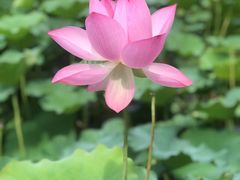 -瑞思教育·少儿英语(凯德校区)