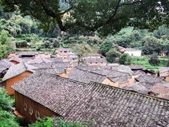 -杨家堂村