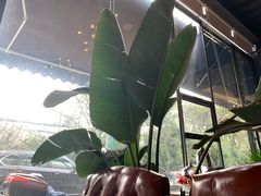 大堂-桉树林A coffee 森林餐厅(三圣乡店)