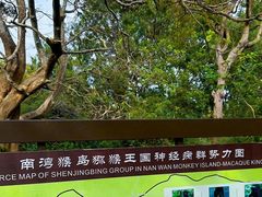 -南湾猴岛+椰田古寨一日游