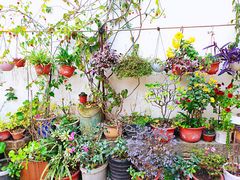 -东钱湖旅游度假区